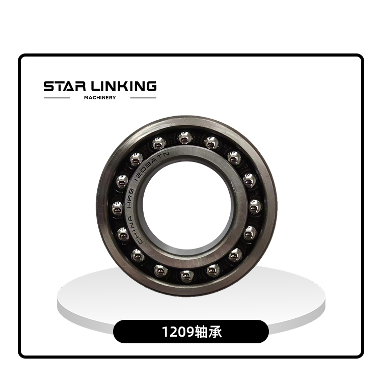1209 Bearing
