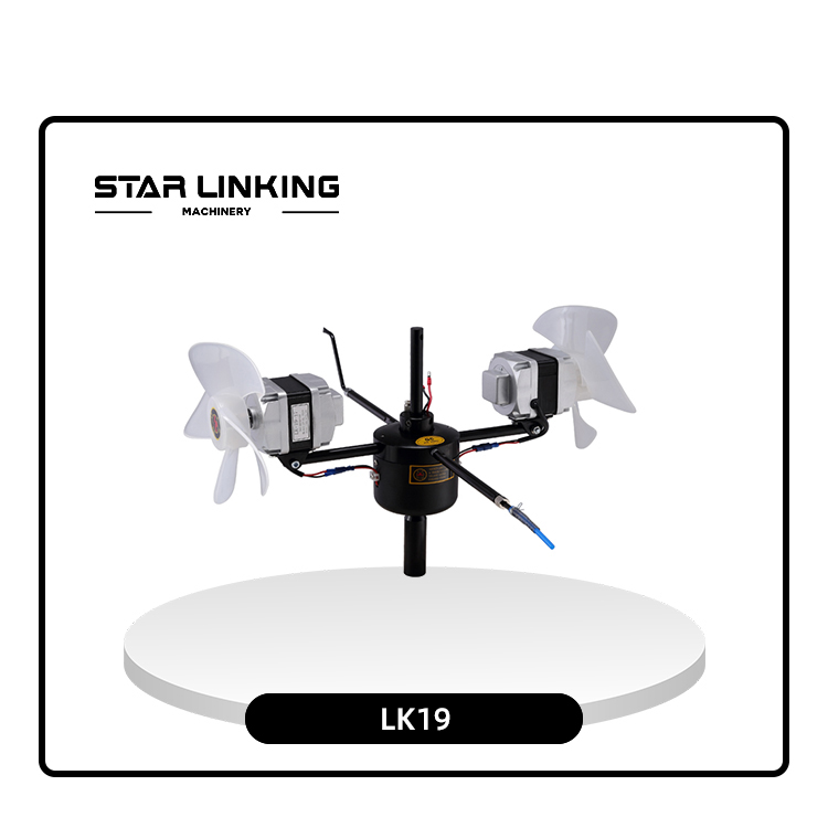 LK19